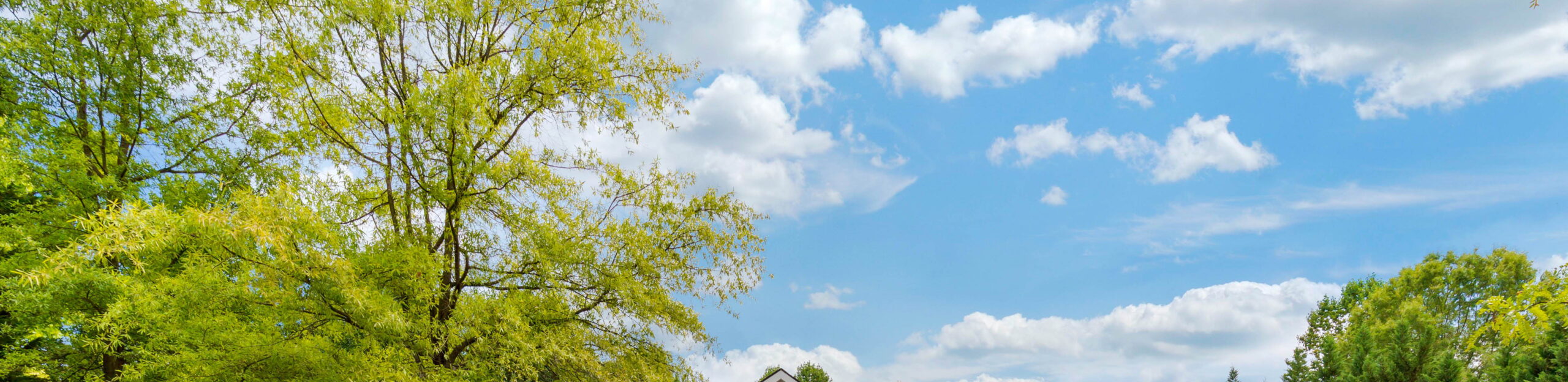 Daycare and Preschool in Reston, VA Primrose School of Reston