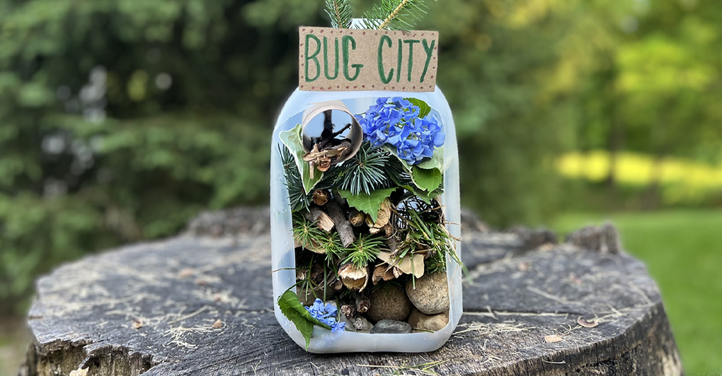 [Step-by-Step] Turn an Empty Carton into a Bug City | Primrose