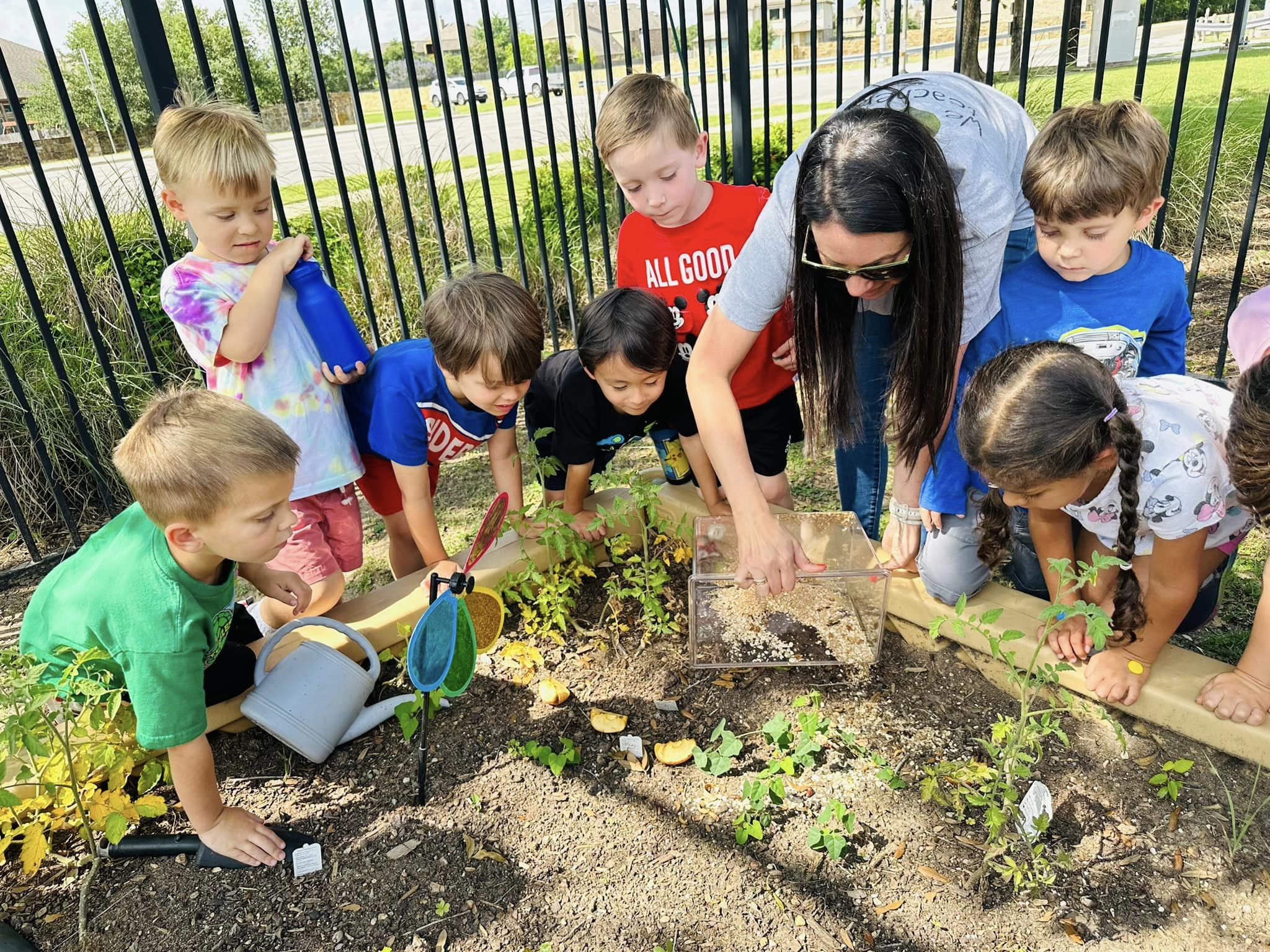 Primrose School of Shady Hollow Home Daycare and Preschool in