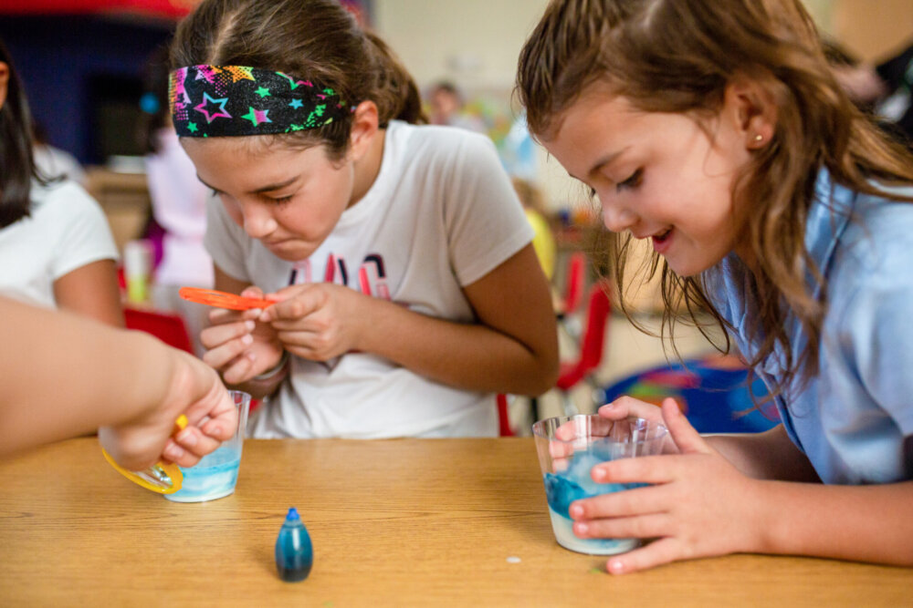 PrimRose様　リクエスト Primrose | Primula - Goffle Brook Farms