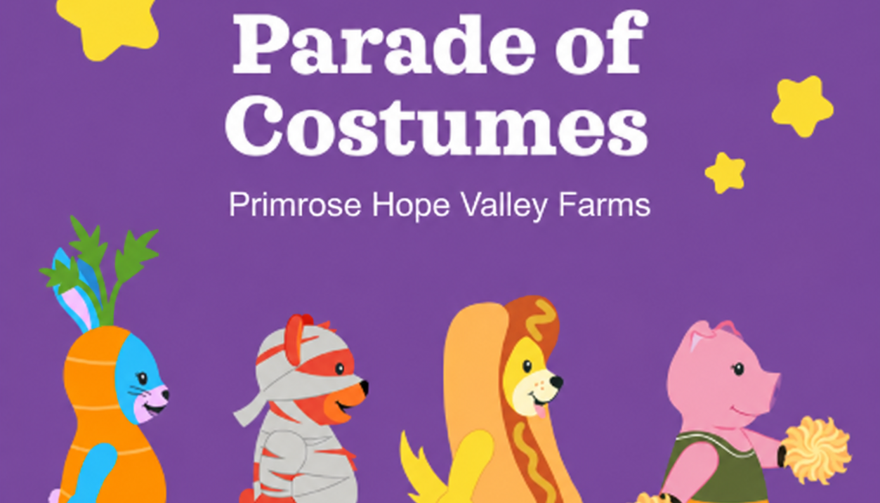 Primrose School at Hope Valley Farms